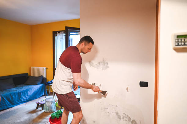 Best Home Mold Removal  in Brownlee Park, MI